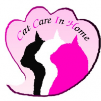 Cat Care In Home