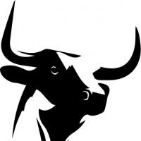 No Bull Rural Contracting Limited