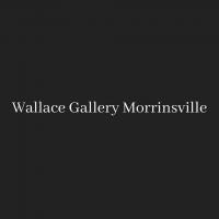 Wallace Gallery Morrinsville
