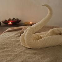 Yin's Remedial Massage Therapy