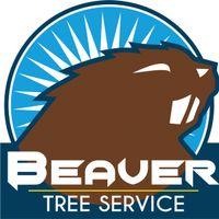 Beaver Tree Service