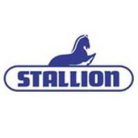 Stallion Limited