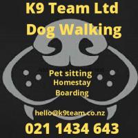K9 Team Ltd   Dog Walking Service