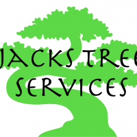 Jacks Tree Services