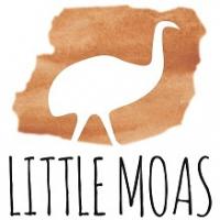 Little Moas Early Learning Centre