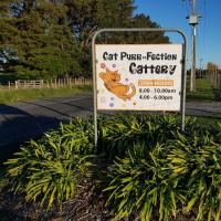 CAT PURR-FECTION CATTERY