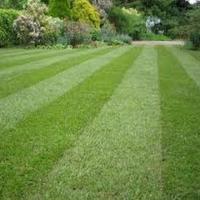 Northern Lawn Care