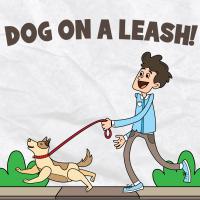 Dog On A Leash