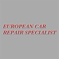 Euro Car Service - European Car Repair Specialist
