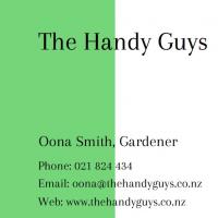 The Handy Guys Ltd