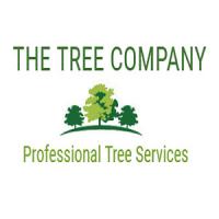 The Tree Company | Arborist & Tree Removal | North Shore, Auckla