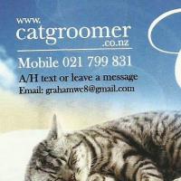 Affordable Cat Grooming Mobile