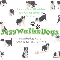 Jess Walks Dogs
