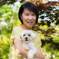 Animal Remote Healing & Japanese Reiki