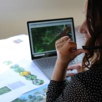 DIYdesigns - Online Landscape Design