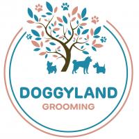 Doggyland NZ