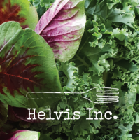 Helvis Inc