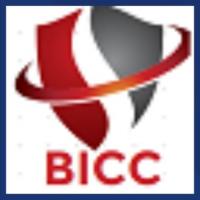 BICC - Cyber Security & IT Solutions