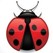 Ladybugs.co.nz