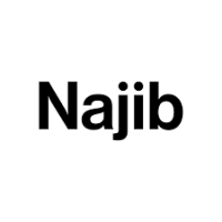 Najib Real Estate Ltd