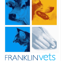 Franklin Vets Waihi