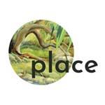 Place Consultancy