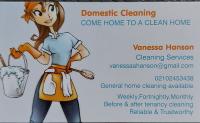 Domestic cleaning