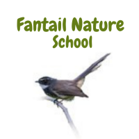Fantail Nature School