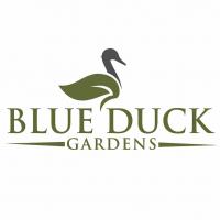 Blue Duck Gardens