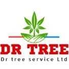 Dr Tree Service