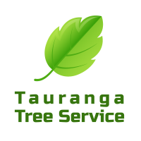 Tauranga Tree Service
