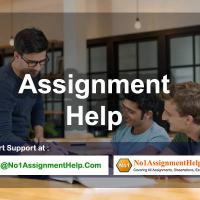 Assignment Help - By No1AssignmentHelp.Com