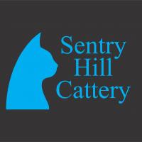 Sentry Hill Cattery