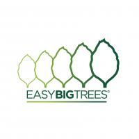 Easy Big Trees