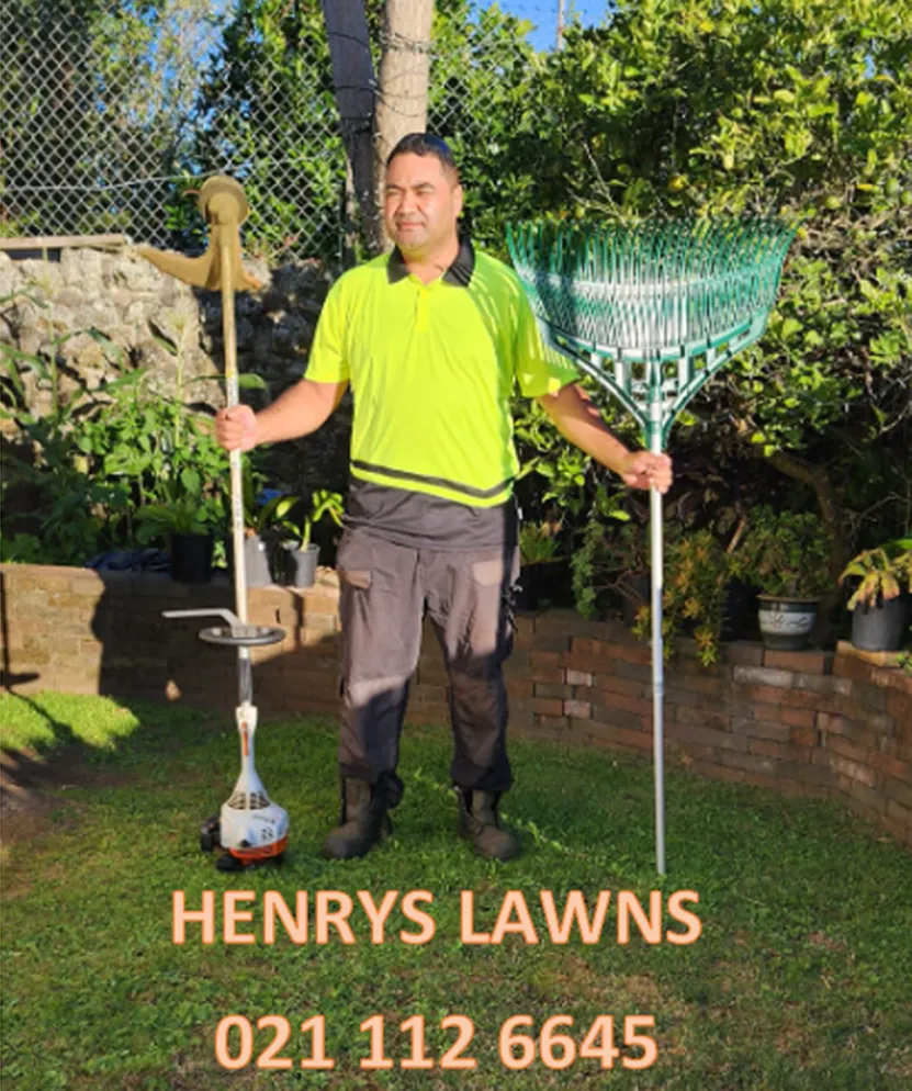 Henry's Lawn Services