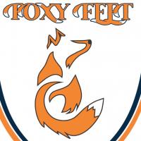 Foxy Feet Football Academy