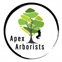 Apex Arborists