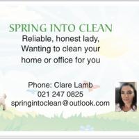 Spring Into Clean