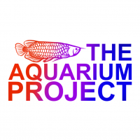 The Aquarium Project