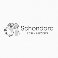 Schondara Schnauzers