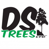 DS Trees Ltd