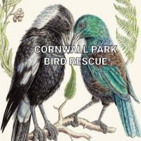 Cornwall park bird rescue