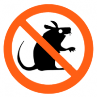 No Rats and Mice