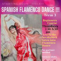 Flamenco NZ - Guitar & Dance Tuition