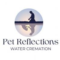 Pet Reflections