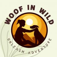 Woof In Wild - Unleash adventure.