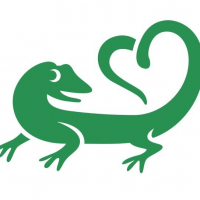 Gecko Eco-Friendly Cleaning Services