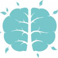 The Child Psychology Service - Pakuranga