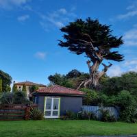 35 Day Detox with Suz Stokes