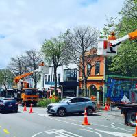 Asplundh - Christchurch